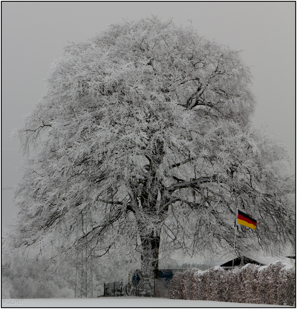 Deutschland im Winter