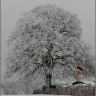 Deutschland im Winter