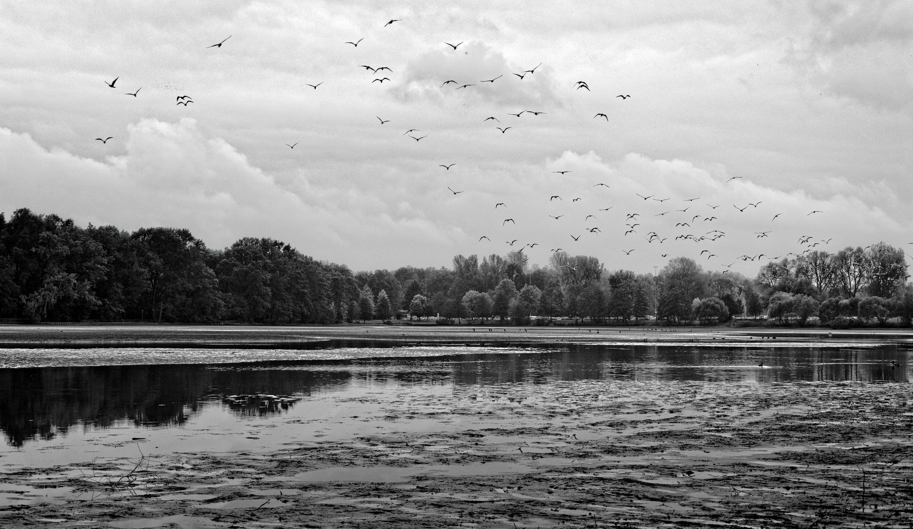 Deutschland Nürnberg / Dutzendteich