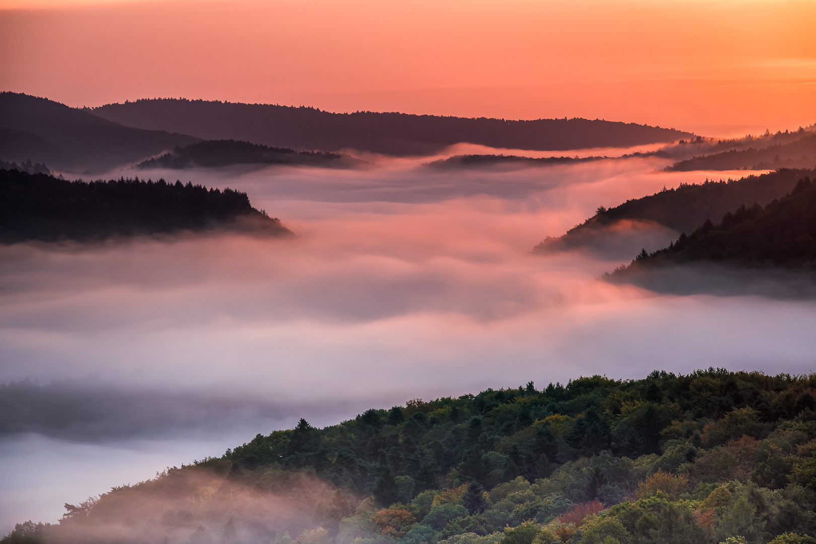 Deutschland - Pfälzer Wald Foto &amp; Bild | sonnenaufgang, licht ...