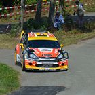 Deutschland Rallye 2013 (Shakedown-Konz)