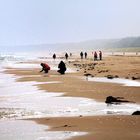 Deutschland Usedom / Darss, Zingst