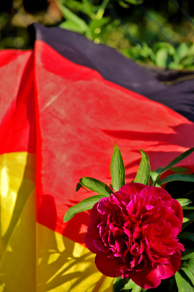 Deutschlandflagge & Blume