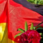 Deutschlandflagge & Blume