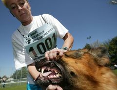 Deutschlandlied 7 / Verein für Deutsche Schäferhunde (SV) E.V.