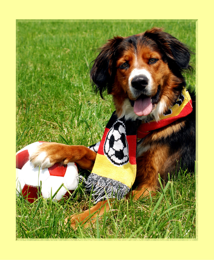 Deutschlands größter Fußball-Fan