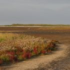 Deutschlands letzte Natur!