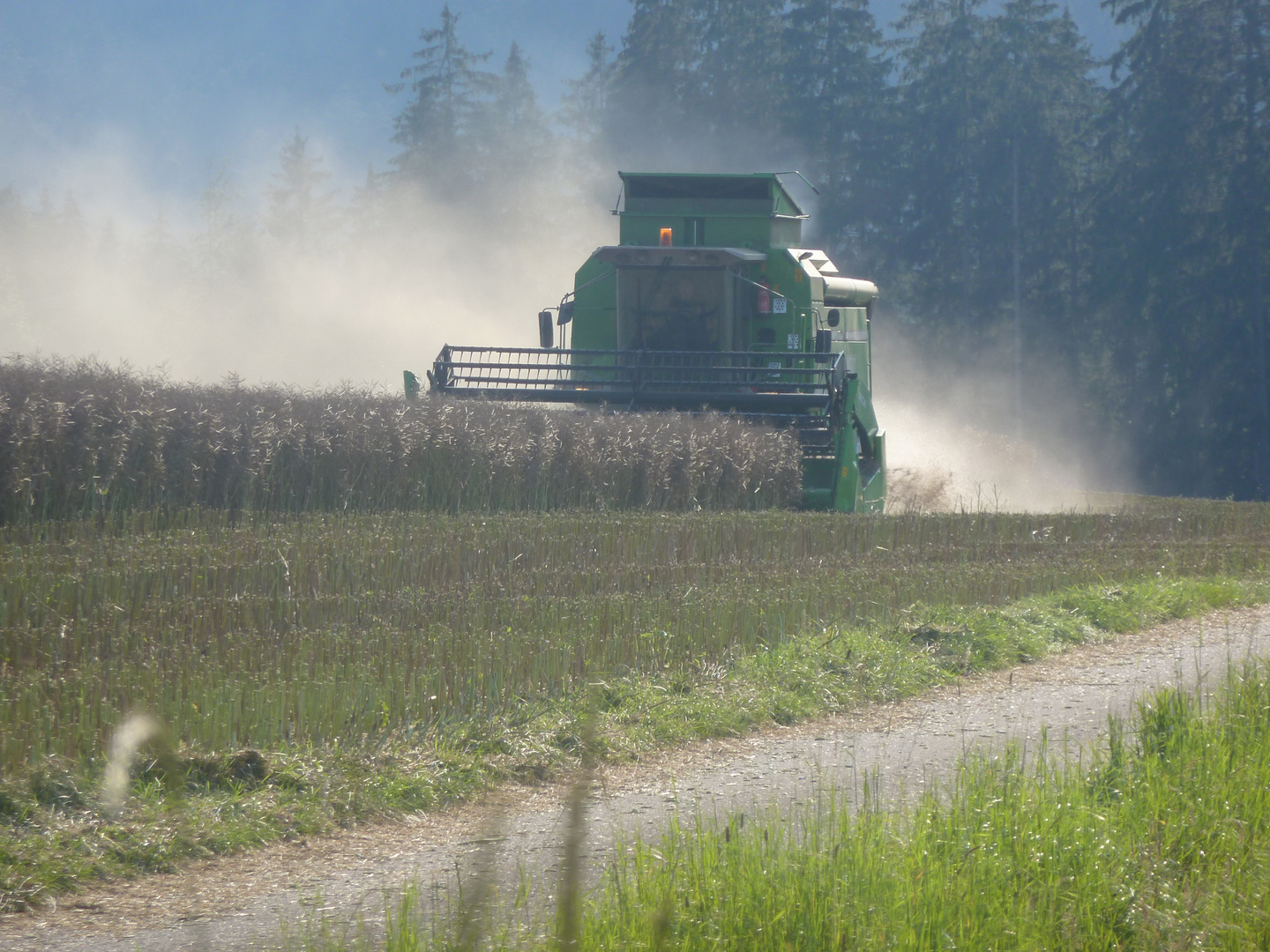 Deutz-Fahr beim Raps dreschen