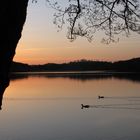 Deux canards à la dérive, sur le lac de Lourdes