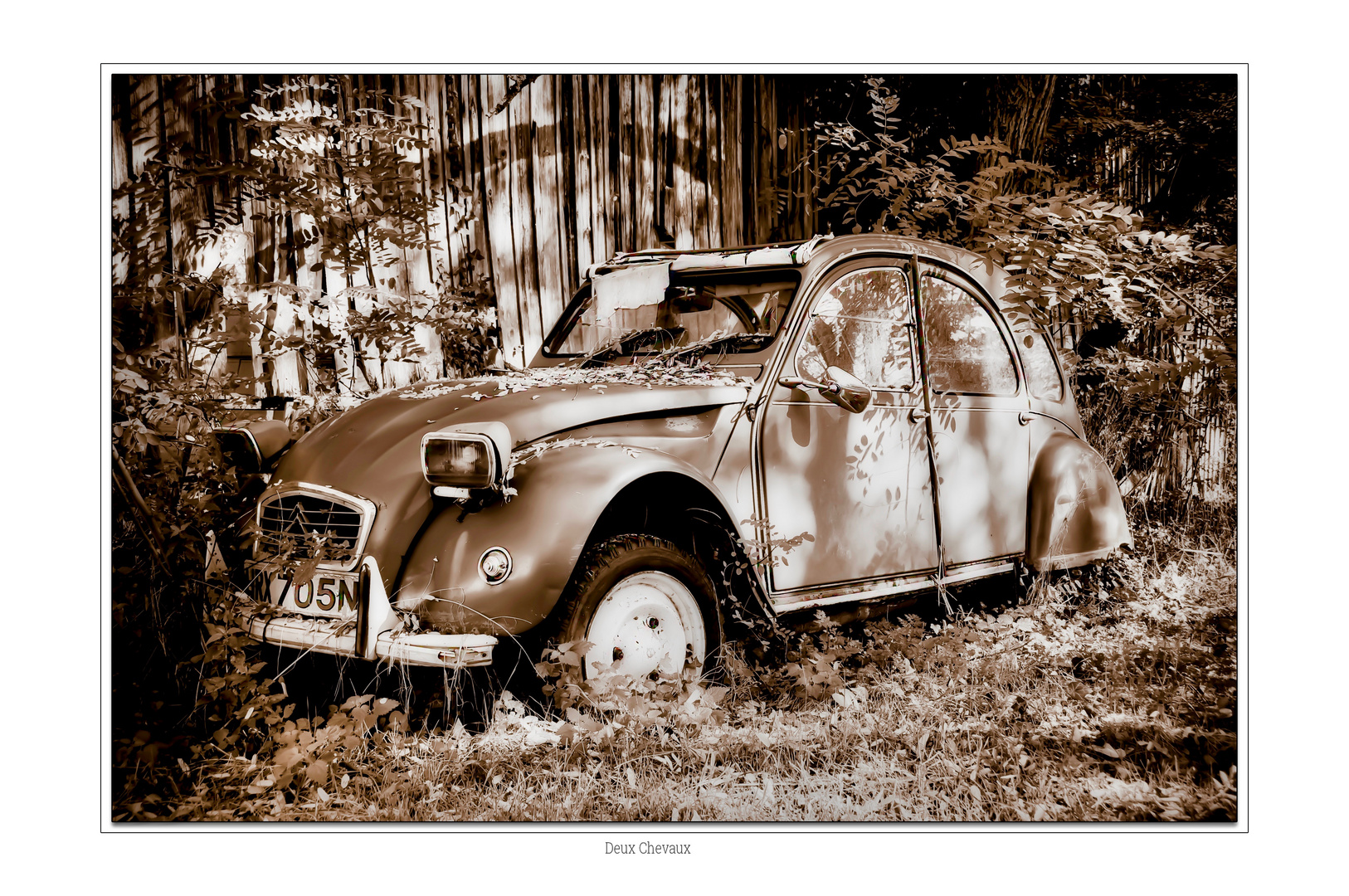 Deux Chevaux