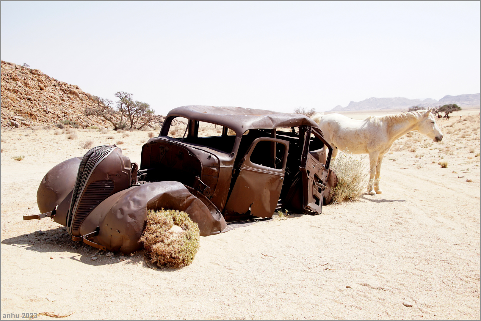 Deux Chevaux