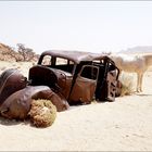 Deux Chevaux