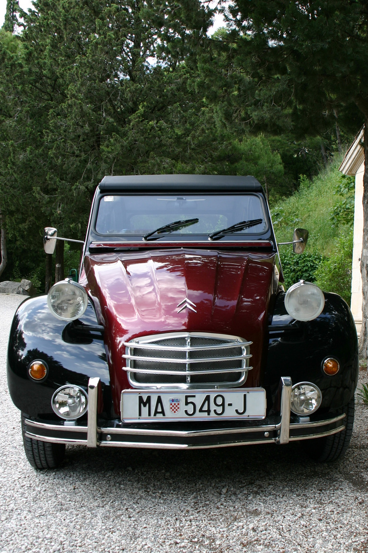 Deux Chevaux