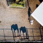 Deux chevaux et un en reserve