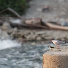 deux copines à la pêche