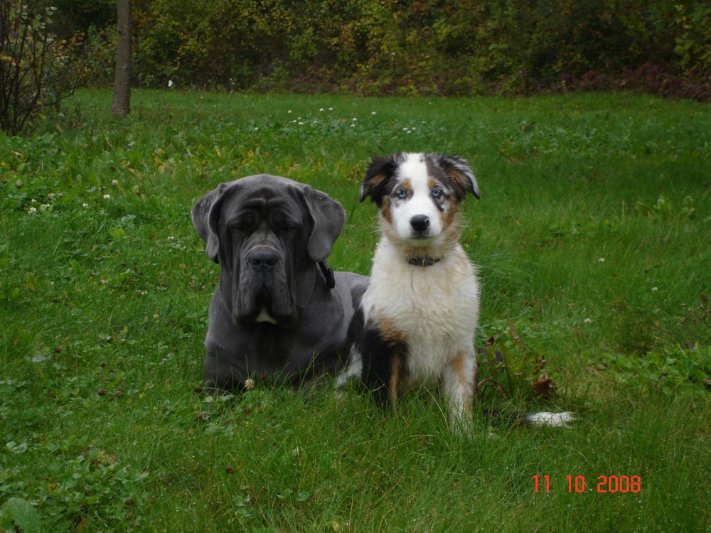 Deux copines faisant la pose!