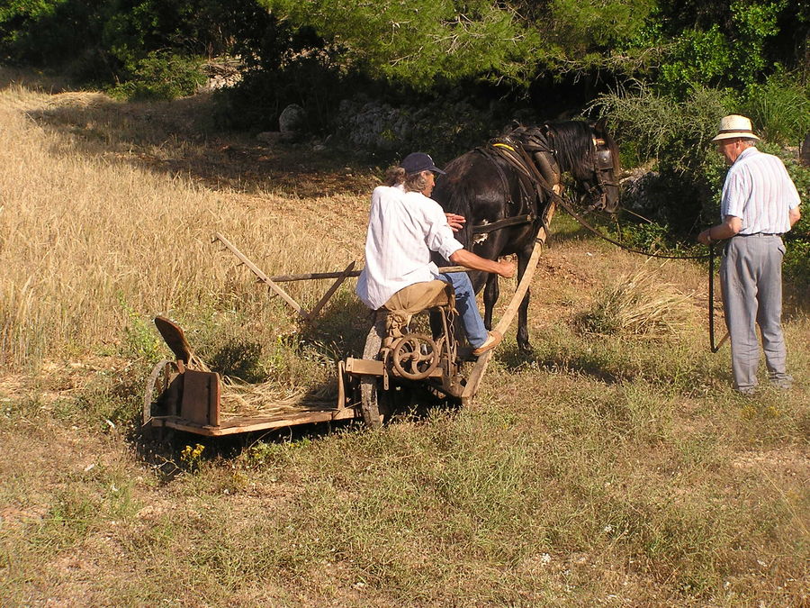 Deux generations, un savoir faire. Îlle de Majorque. Juin 2.008.