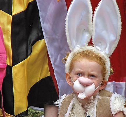 Deux paires d’oreilles 