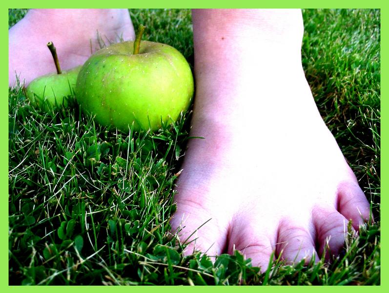 Deux pieds avec deux pommes dans le jardin de la grand-mère