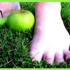 Deux pieds avec deux pommes dans le jardin de la grand-mère