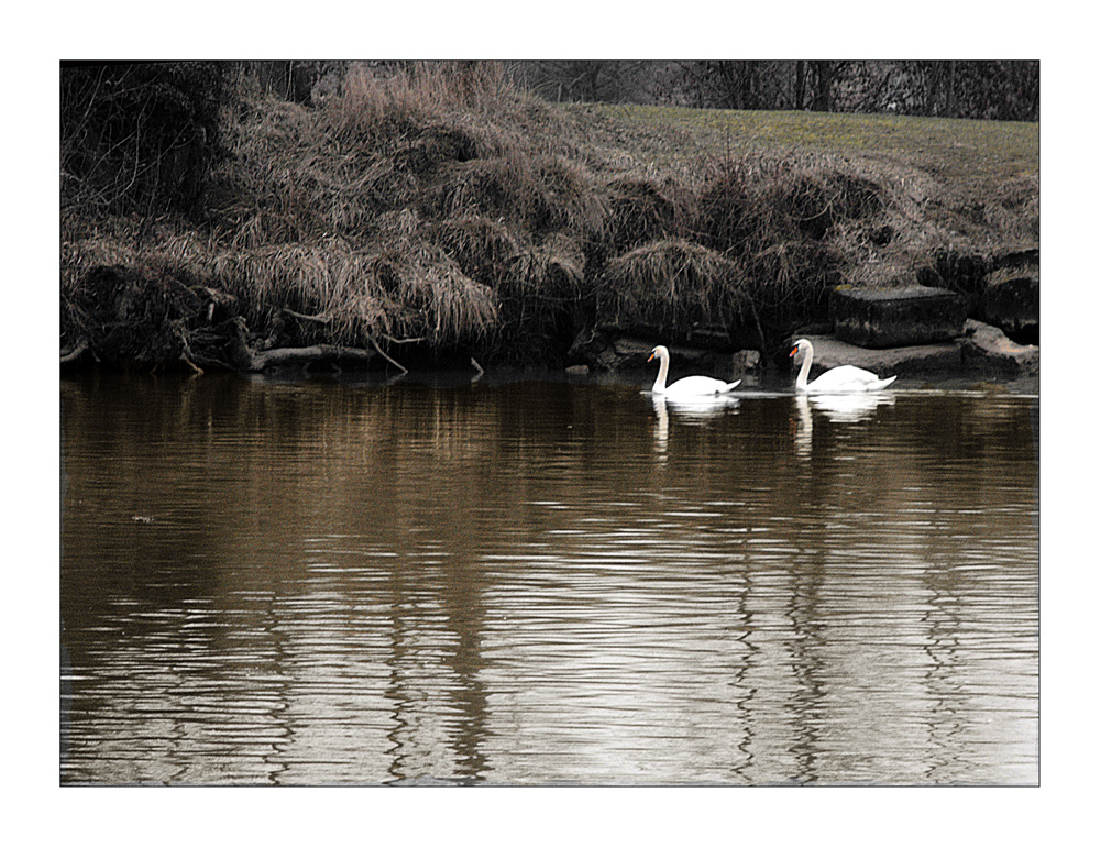 deux signes passent