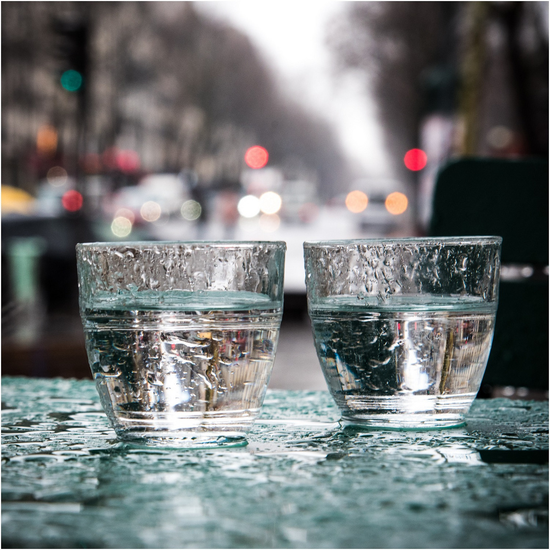 deux vers vert sans un verre vert