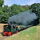 DEV Lok Plettenberg am 01.08.19 in Vilser Wald mit OEG - Wagen von Wim Pater