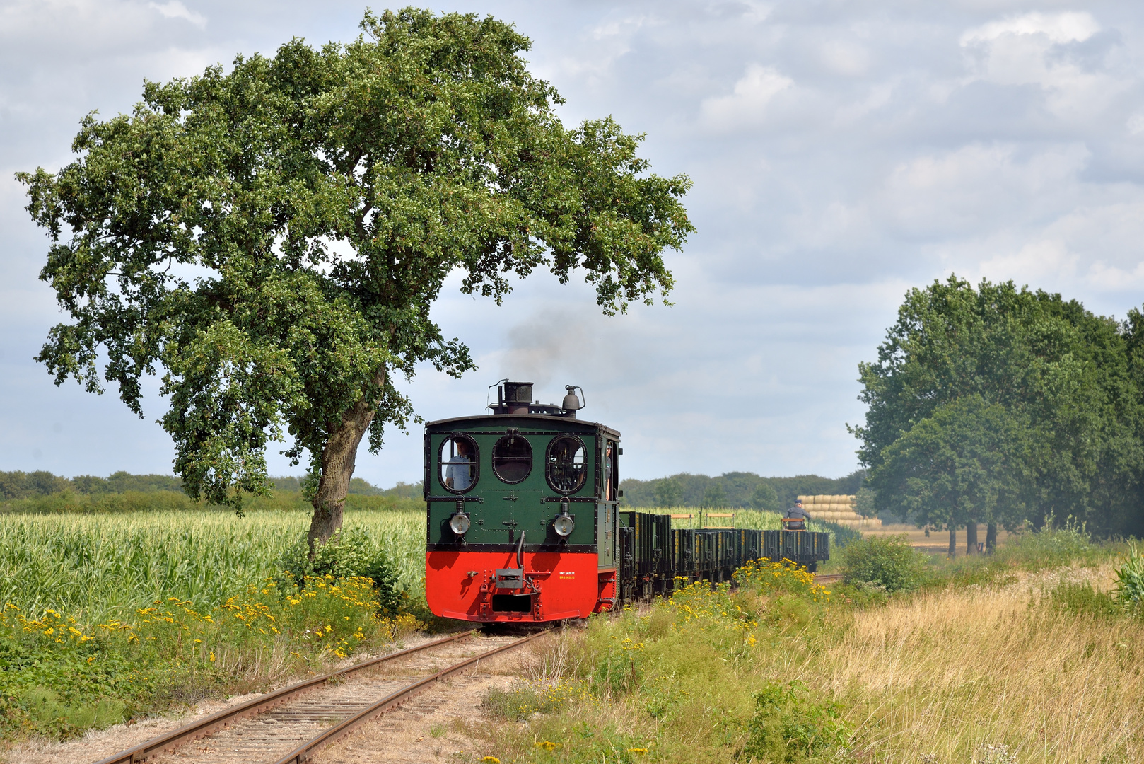 DEV Lok Plettenberg am 01.08.19 vor Heiligenberg - Wagen