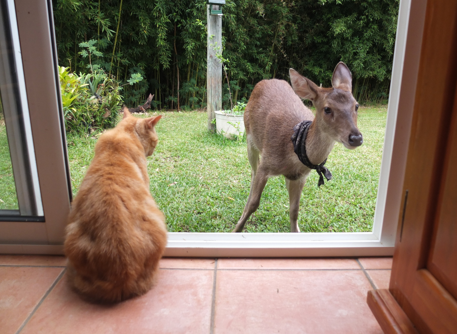 Devant la porte