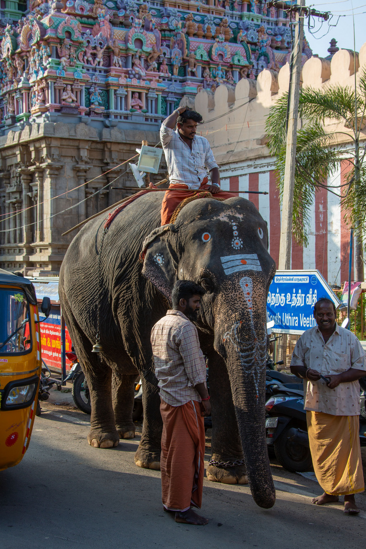 Devant l'entrée de Srirangam