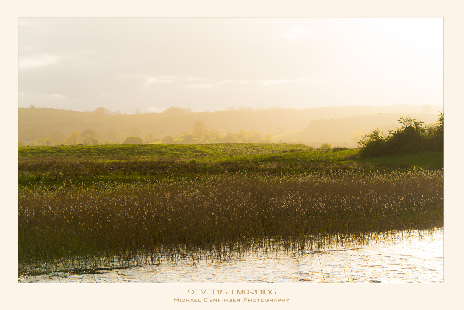 Devenish Morning