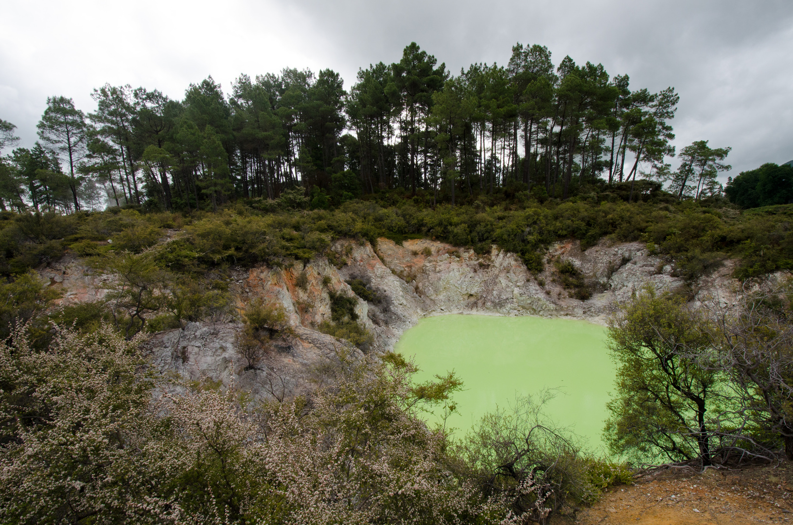 "Devil's Bath" - Wai-O-Tapu (Thermal Wonderland)