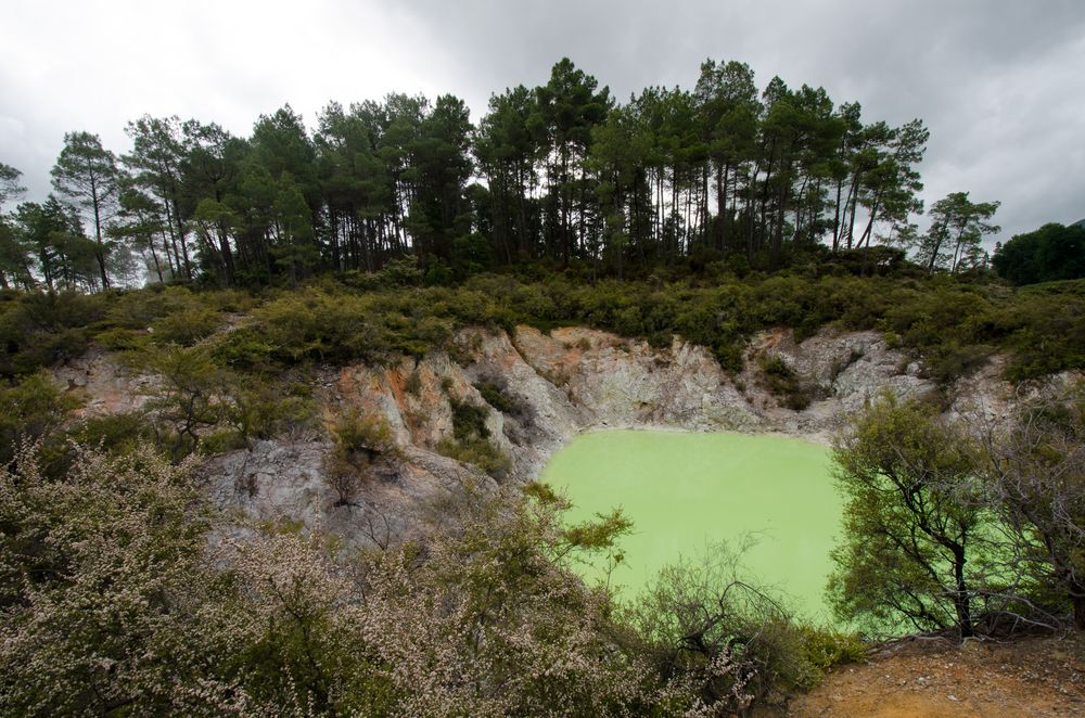 "Devil's Bath" - Wai-O-Tapu (Thermal Wonderland)