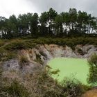 "Devil's Bath" - Wai-O-Tapu (Thermal Wonderland)