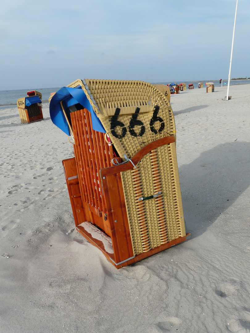 Devils Beach Basket