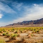 Devil's Cornfield