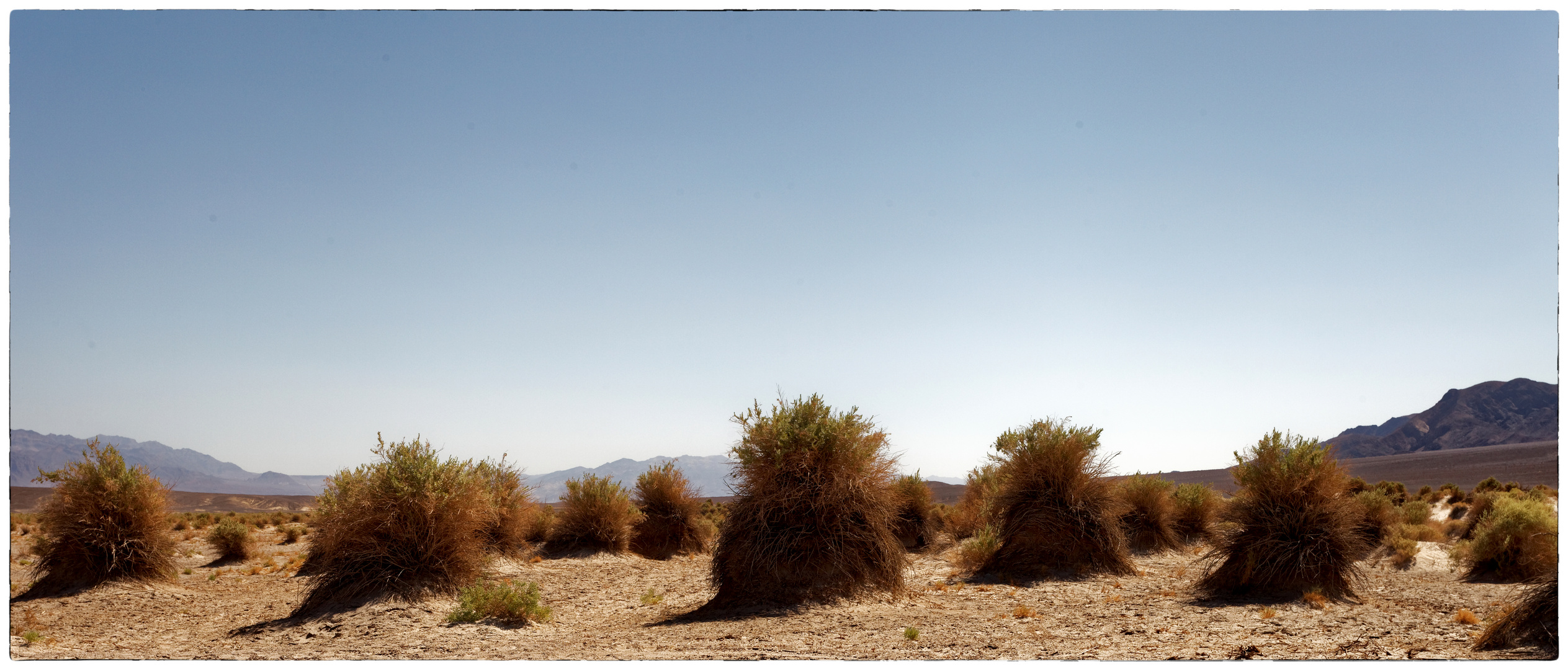 Devil's Cornfield