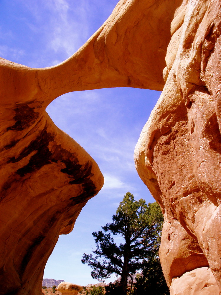 Devil's Garden Arch