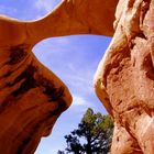 Devil's Garden Arch