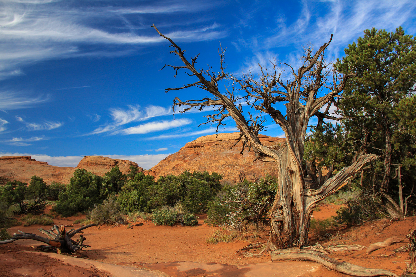 Devils Garden / Arches