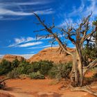 Devils Garden / Arches