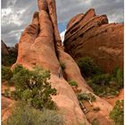 Devils Garden - Arches National Park - Utah