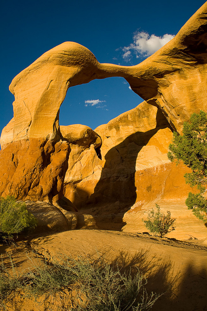 Devil's Garden bei Escalante