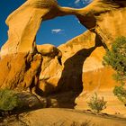 Devil's Garden bei Escalante