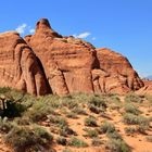 Devil's Garden Trailhead