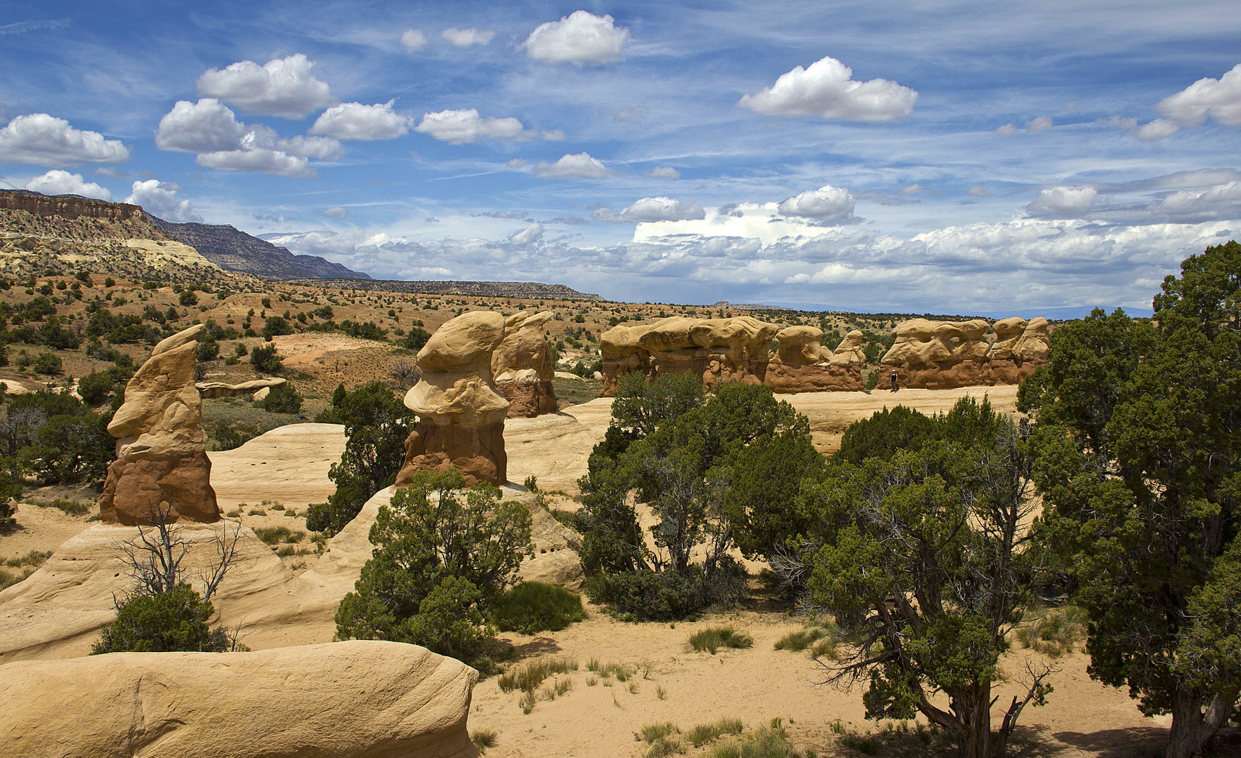 Devils Garden - Was für eine Aussicht