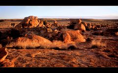 DEVILS GOLDEN MARBLES