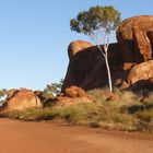 Devils Marble at Sunrise....