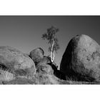 ...Devils Marbles 10 SW...