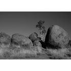 ...Devils Marbles 9 SW...